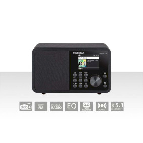 TELESTAR DIRA M 1 A, EWF DAB+ / FM / INTERNET / BLUETOOTH